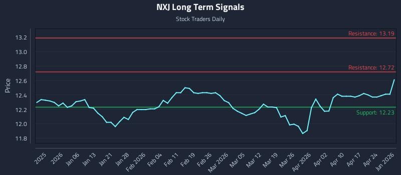 NXJ Long Term Analysis for June 28 2026