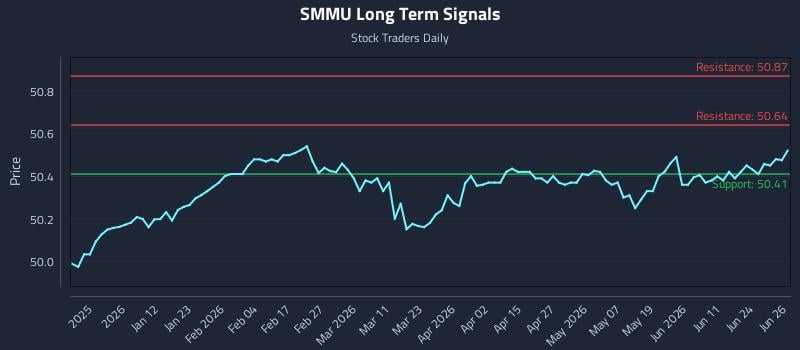 SMMU Long Term Analysis for June 29 2026