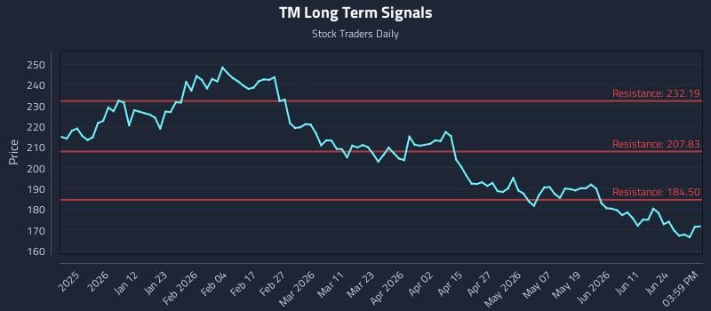 TM Long Term Analysis for June 29 2026