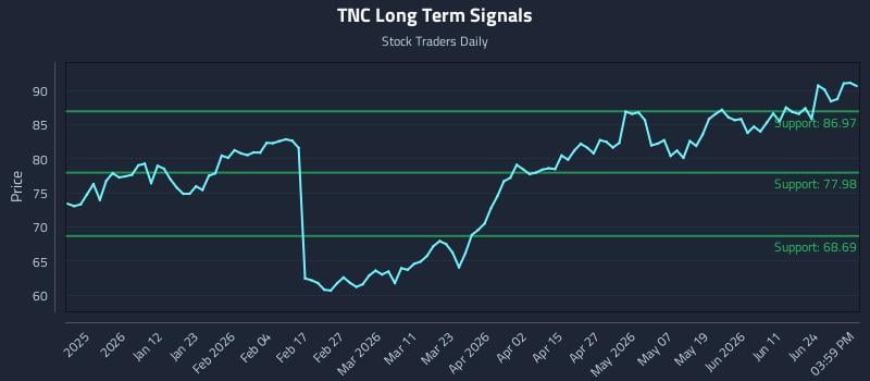 TNC Long Term Analysis for June 29 2026