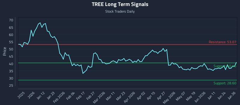 TREE Long Term Analysis for June 29 2026