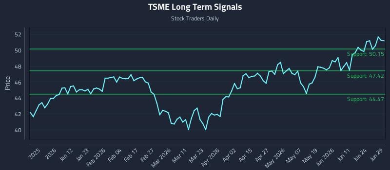 TSME Long Term Analysis for June 29 2026