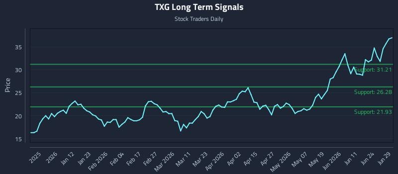 TXG Long Term Analysis for June 29 2026 TXG Long Term Analysis for June 29 2026