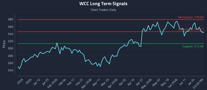 WCC Long Term Analysis for June 29 2026
