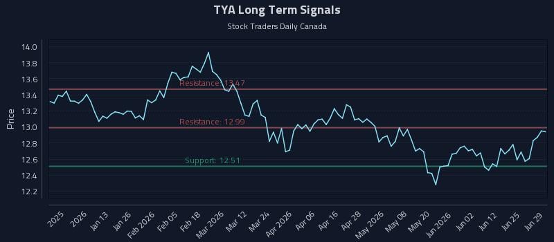 TYA Long Term Analysis for June 30 2026