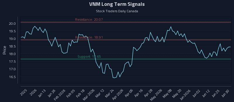 VNM Long Term Analysis for June 30 2026 VNM Long Term Analysis for June 30 2026