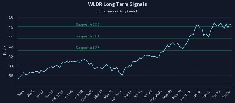 WLDR Long Term Analysis for June 30 2026