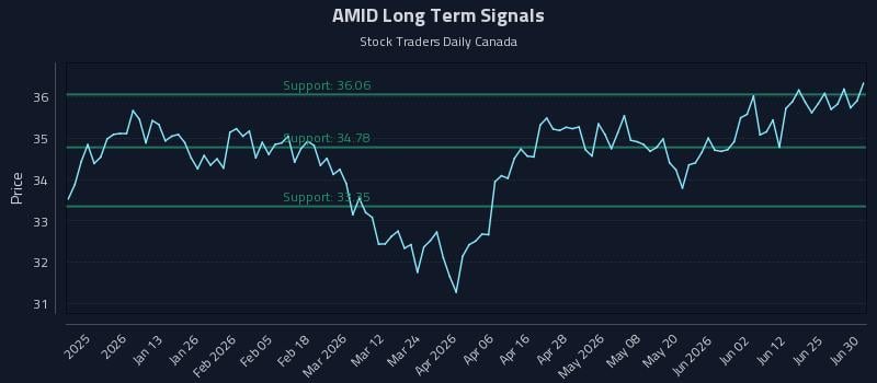 AMID Long Term Analysis for June 30 2026