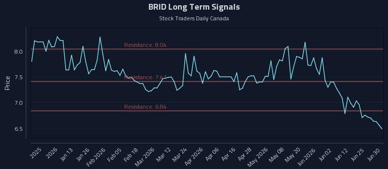 BRID Long Term Analysis for July 1 2026 BRID Long Term Analysis for July 1 2026