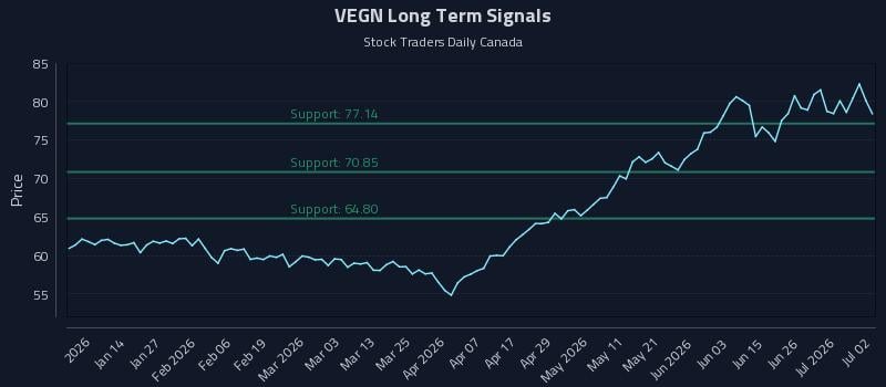 VEGN Long Term Analysis for July 2 2026 VEGN Long Term Analysis for July 2 2026