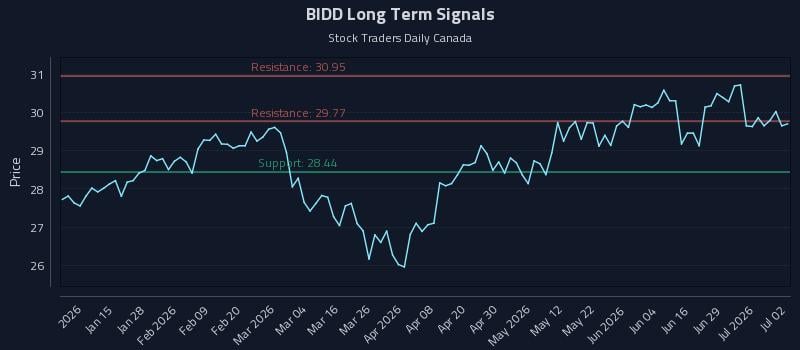 BIDD Long Term Analysis for July 3 2026 BIDD Long Term Analysis for July 3 2026