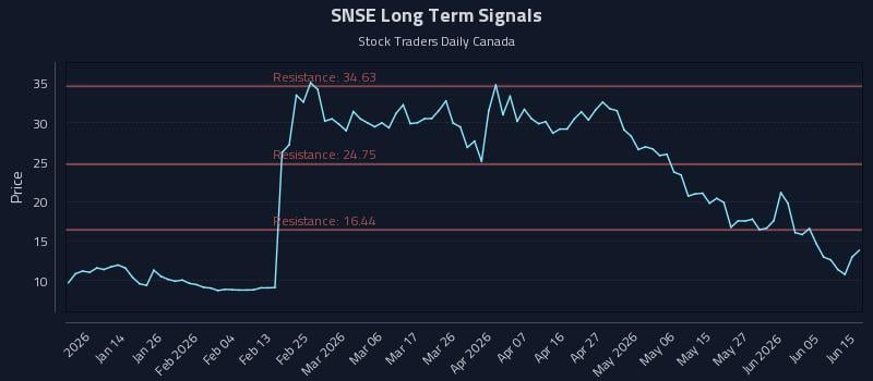 SNSE Long Term Analysis for July 4 2026 SNSE Long Term Analysis for July 4 2026