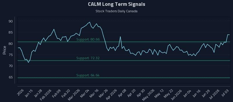 CALM Long Term Analysis for July 4 2026 CALM Long Term Analysis for July 4 2026