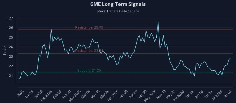 (GME) and the Role of Price-Sensitive Allocations