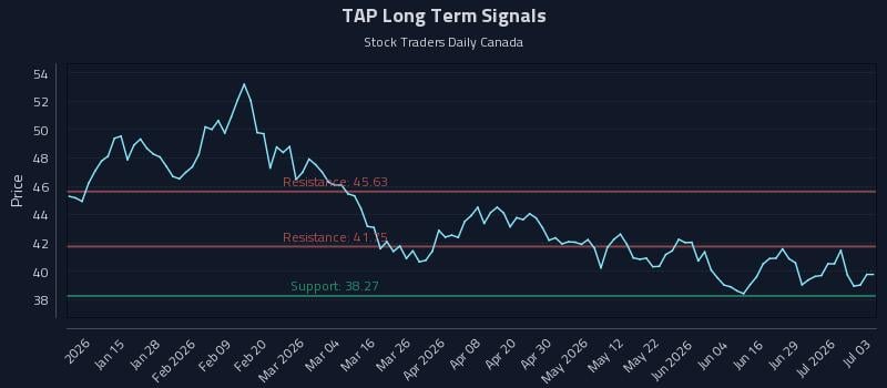 TAP Long Term Analysis for July 5 2026