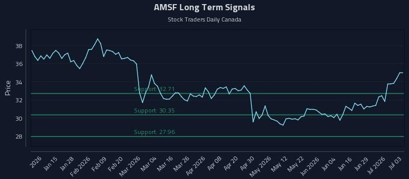 AMSF Long Term Analysis for July 5 2026