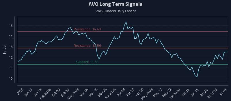 AVO Long Term Analysis for July 5 2026 AVO Long Term Analysis for July 5 2026