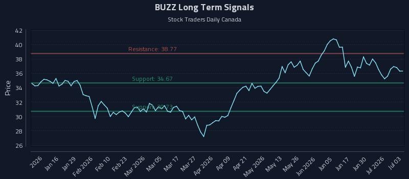 BUZZ Long Term Analysis for July 6 2026