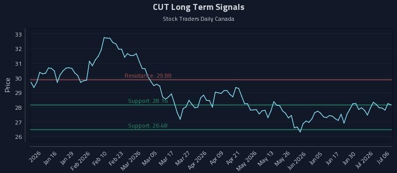 CUT Long Term Analysis for July 6 2026