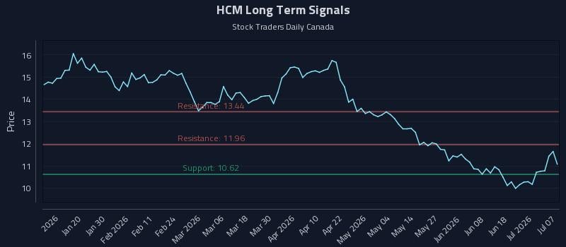 HCM Long Term Analysis for July 7 2026