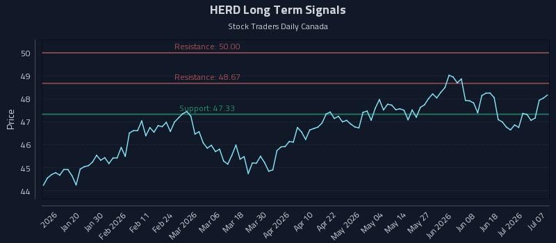 HERD Long Term Analysis for July 7 2026