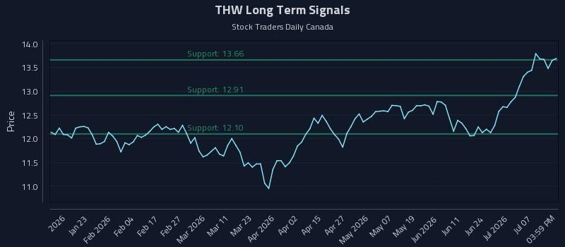 THW Long Term Analysis for July 10 2026