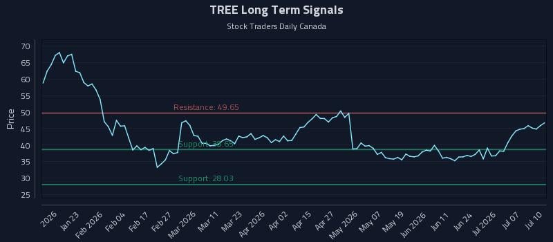 TREE Long Term Analysis for July 10 2026 TREE Long Term Analysis for July 10 2026