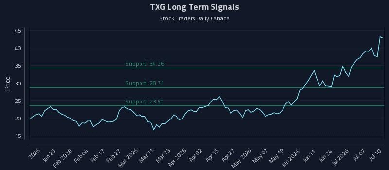 TXG Long Term Analysis for July 10 2026 TXG Long Term Analysis for July 10 2026