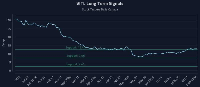 VITL Long Term Analysis for July 10 2026 VITL Long Term Analysis for July 10 2026