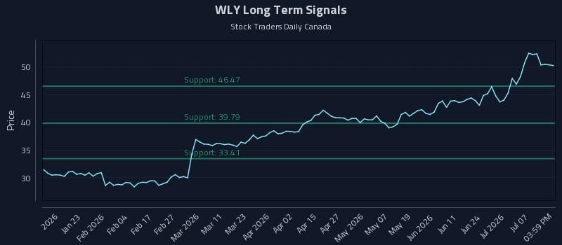 WLY Long Term Analysis for July 10 2026