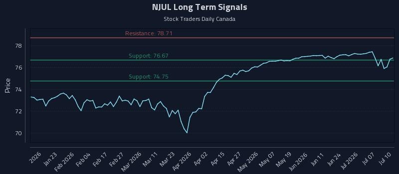 NJUL Long Term Analysis for July 11 2026 NJUL Long Term Analysis for July 11 2026