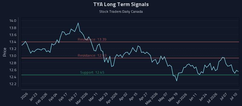 TYA Long Term Analysis for July 11 2026 TYA Long Term Analysis for July 11 2026