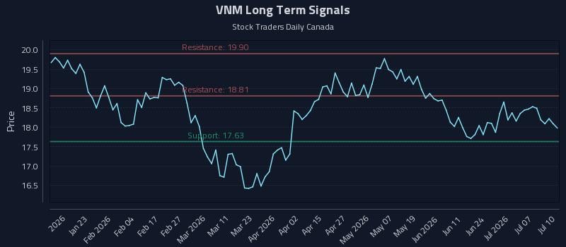 VNM Long Term Analysis for July 11 2026