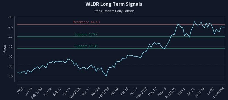 WLDR Long Term Analysis for July 11 2026