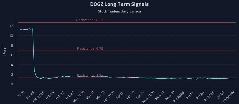DOGZ Long Term Analysis for July 11 2026