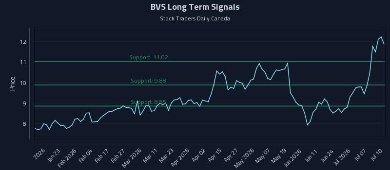 BVS Long Term Analysis for July 11 2026 BVS Long Term Analysis for July 11 2026