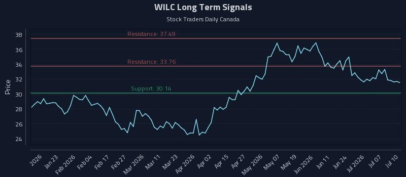 WILC Long Term Analysis for July 12 2026