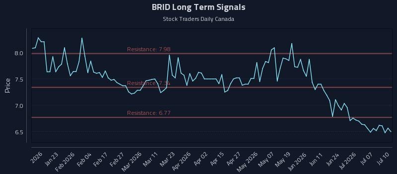 BRID Long Term Analysis for July 12 2026