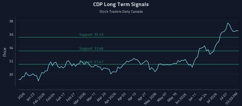 CDP Long Term Analysis for July 12 2026