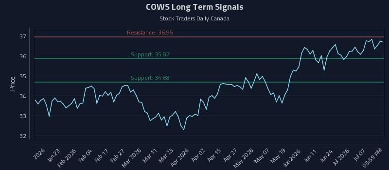 COWS Long Term Analysis for July 12 2026