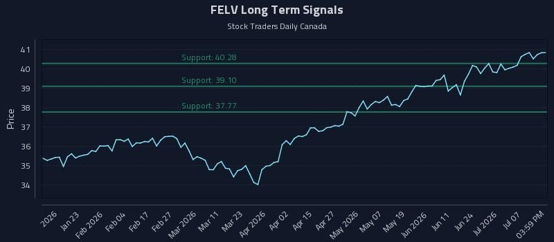FELV Long Term Analysis for July 12 2026 FELV Long Term Analysis for July 12 2026