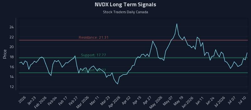 NVDX Long Term Analysis for July 12 2026 NVDX Long Term Analysis for July 12 2026