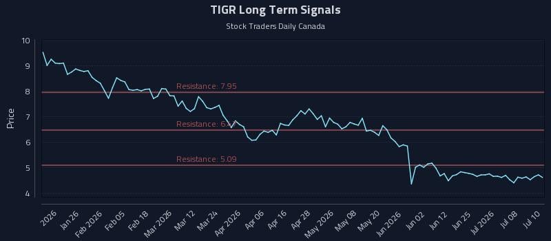 TIGR Long Term Analysis for July 13 2026 TIGR Long Term Analysis for July 13 2026