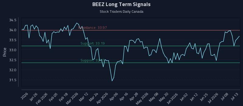 BEEZ Long Term Analysis for July 13 2026