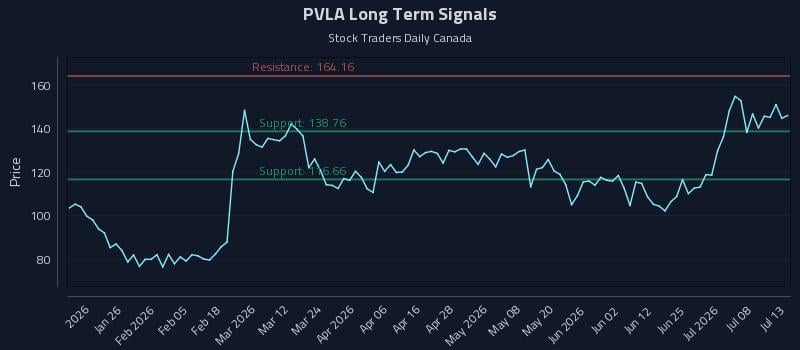 PVLA Long Term Analysis for July 13 2026