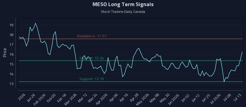 MESO Long Term Analysis for July 13 2026