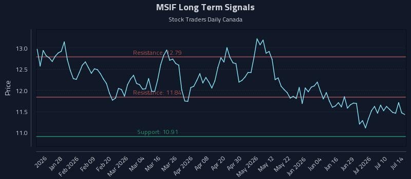 MSIF Long Term Analysis for July 15 2026 MSIF Long Term Analysis for July 15 2026