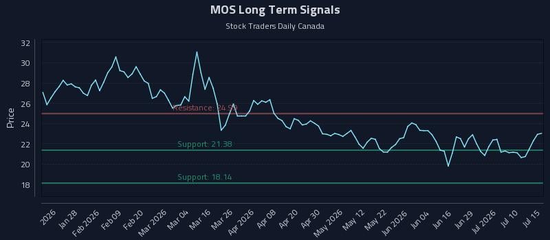 MOS Long Term Analysis for July 15 2026 MOS Long Term Analysis for July 15 2026