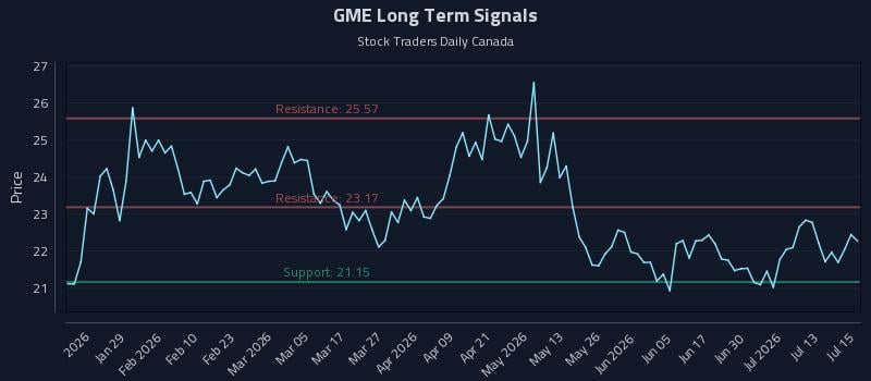 (GME) and the Role of Price-Sensitive Allocations
