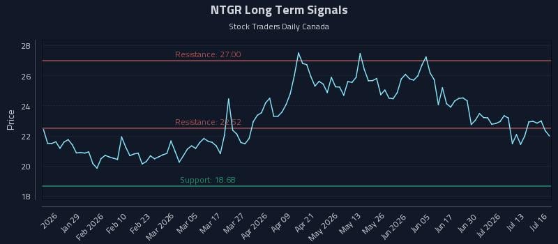 NTGR Long Term Analysis for July 16 2026